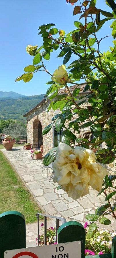 Hotel Poggio Al Sole Fiesole Zewnętrze zdjęcie
